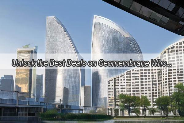 Unlock the Best Deals on Geomembrane Wholesales Near Guangzhou  Your Ultimate Guide